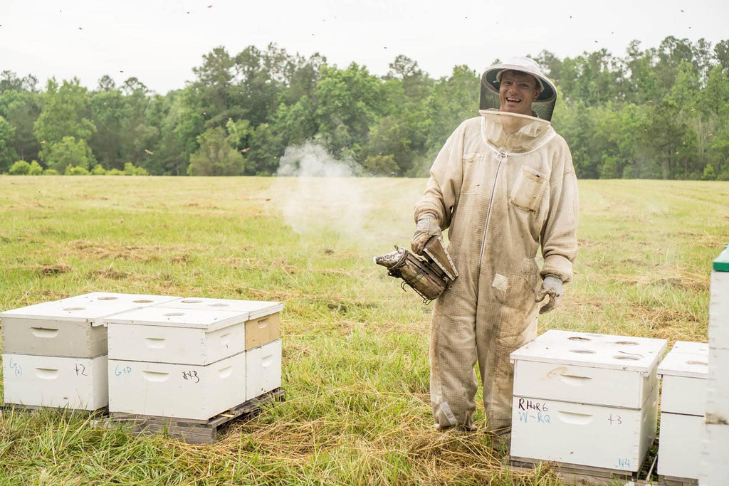 The World of Beekeeping