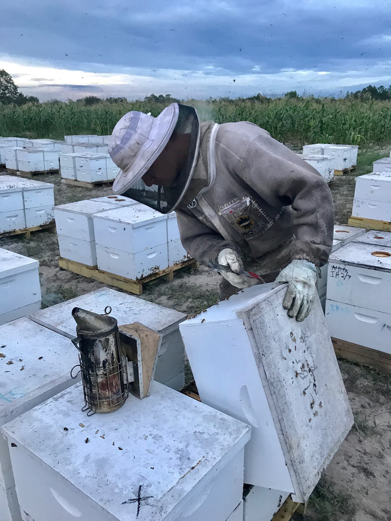 Overwinter Overtime