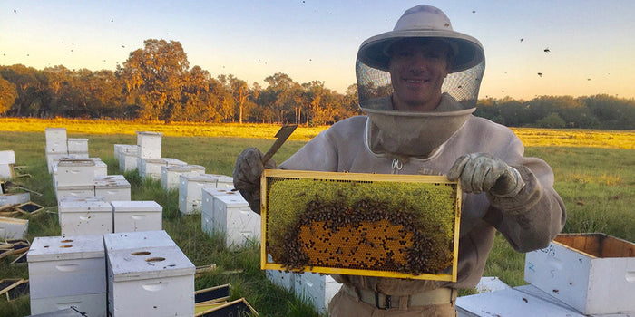 Joseph Register wearing a bee suit, holding up a honey frame with bee hives in the background.