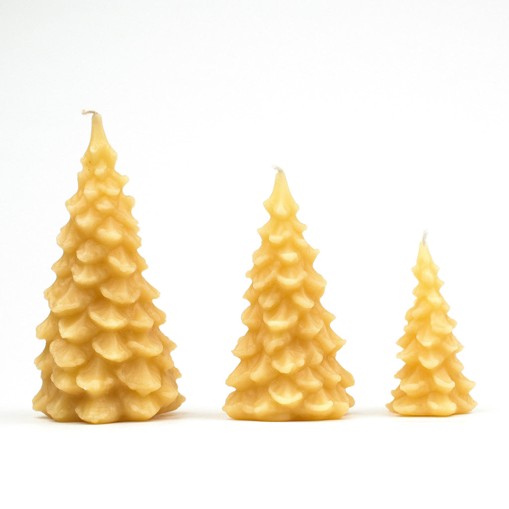 Christmas tree candles -- small, medium, large.