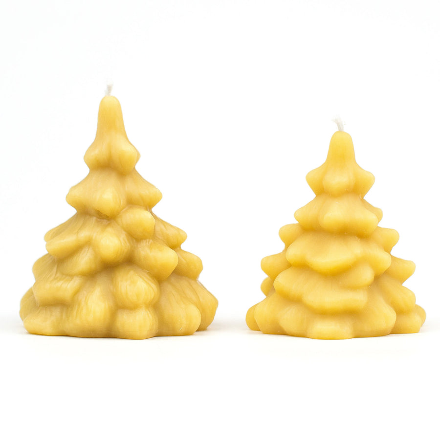 Small  and large spruce tree beeswax candles.